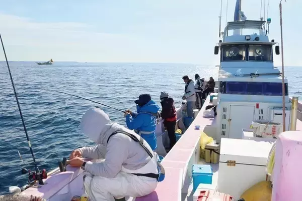 「遅れ気味で本番はこれから！良型のカワハギを楽しもう」の画像