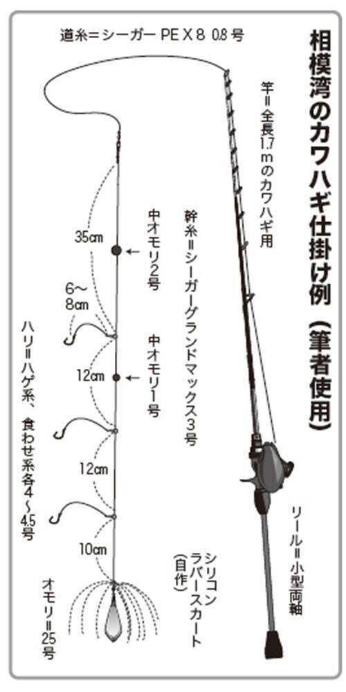 遅れ気味で本番はこれから！良型のカワハギを楽しもう