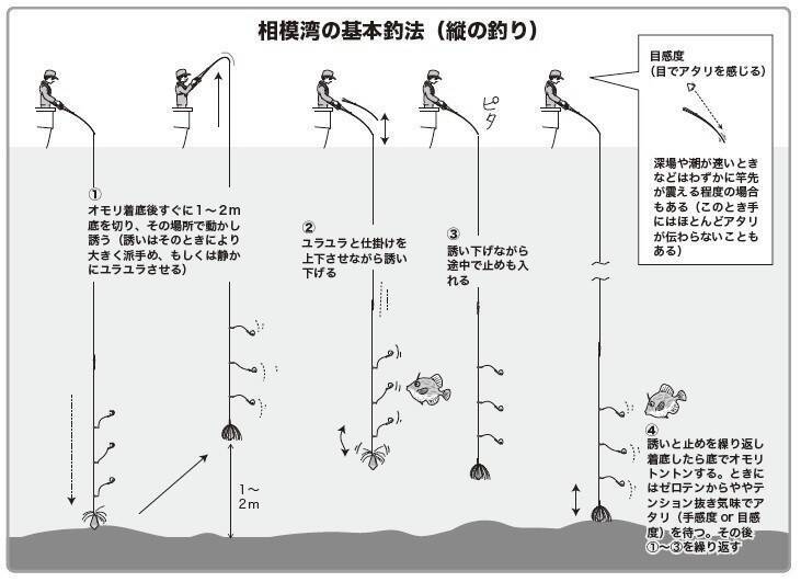 遅れ気味で本番はこれから！良型のカワハギを楽しもう