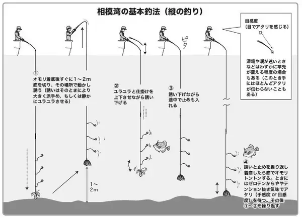 「遅れ気味で本番はこれから！良型のカワハギを楽しもう」の画像