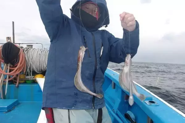 「【釣果速報】メバル爆釣！MAX30匹！福島県つりエサ豊漁でメバルラッシュを体感しよう！」の画像