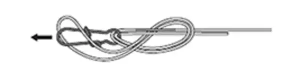 「パロマーノットって最強なの？ラインの結び方を深掘りチェック」の画像