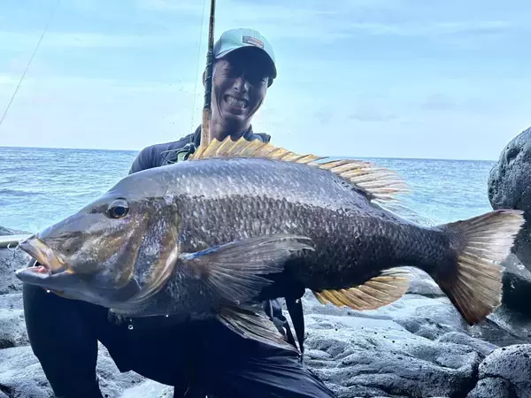 「ルアーで狙うタマンゲーム　往年のMaria プラグ達が大活躍！」の画像