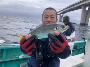 【釣果速報】千葉県守山丸でアジキャッチ！TOP123匹！大満足の釣行です！アタリを思う存分感じよう！