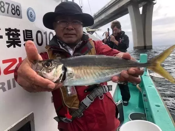 「【釣果速報】千葉県守山丸でアジキャッチ！TOP123匹！大満足の釣行です！アタリを思う存分感じよう！」の画像