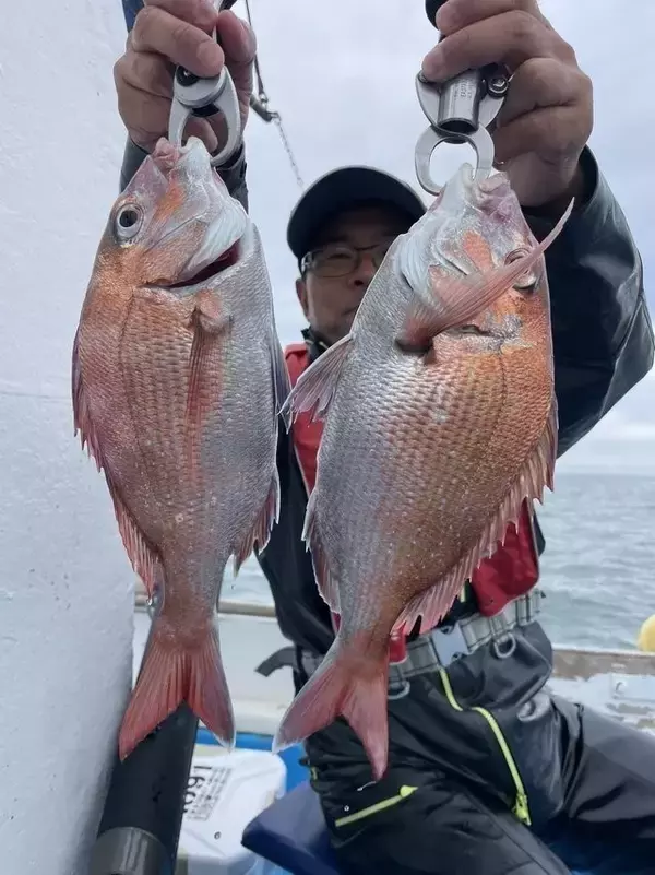 【釣果速報】茨城県ことぶき丸でマダイ・カサゴ・トラフグなどGET！ゲストも多種多様！充実の釣行をお約束します！