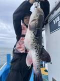「【釣果速報】茨城県ことぶき丸でマダイ・カサゴ・トラフグなどGET！ゲストも多種多様！充実の釣行をお約束します！」の画像3