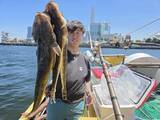 「【釣果速報】神奈川県濱生丸で人気魚・マゴチをどっさりゲット！！船釣りデビュー戦を大物ゲットで飾りませんか？」の画像1