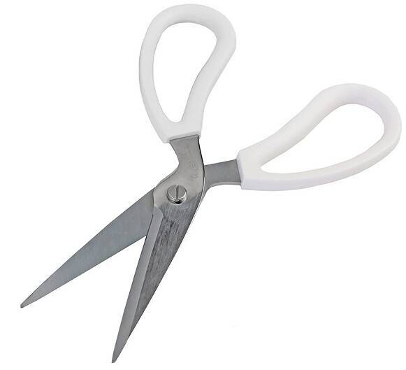 アオリイカのカンタンなさばき方をマスターしたい ハサミでチャレンジ 22年3月8日 エキサイトニュース