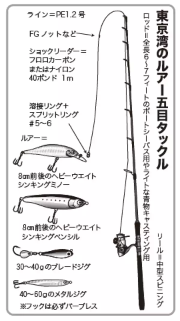 「キャスティングで狙う東京湾のサワラ」の画像