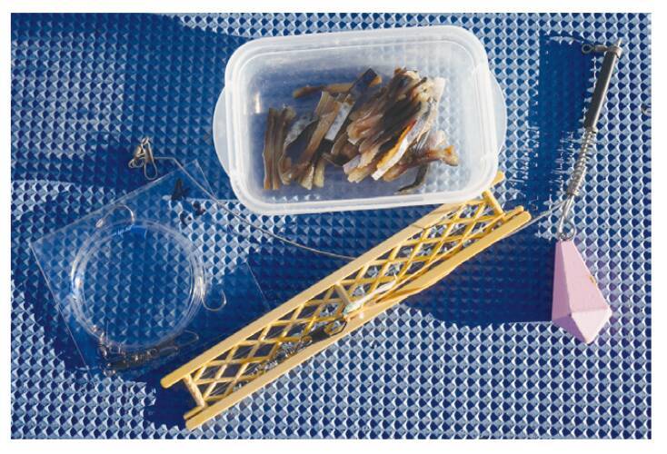 平塚のご当地ターゲット、ホウボウエサ、ルアーともに今期も順調