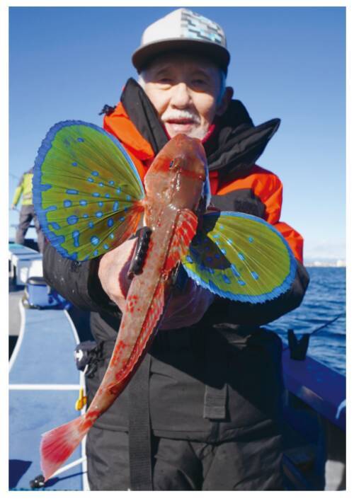 平塚のご当地ターゲット、ホウボウエサ、ルアーともに今期も順調