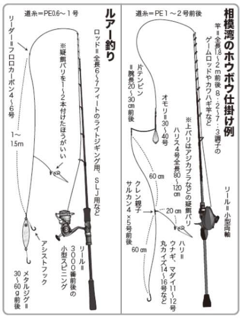 平塚のご当地ターゲット、ホウボウエサ、ルアーともに今期も順調