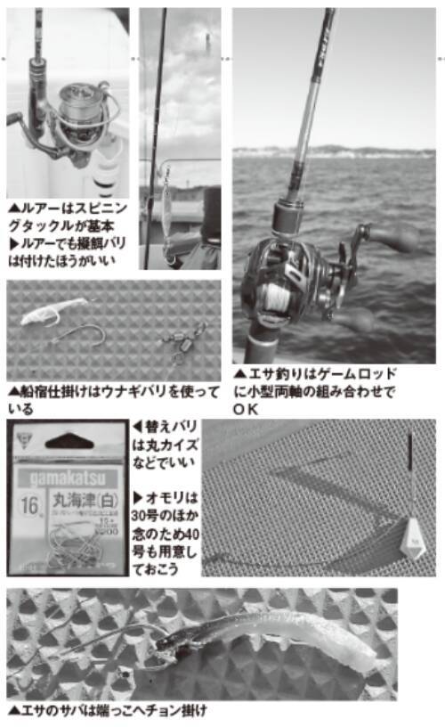 平塚のご当地ターゲット、ホウボウエサ、ルアーともに今期も順調