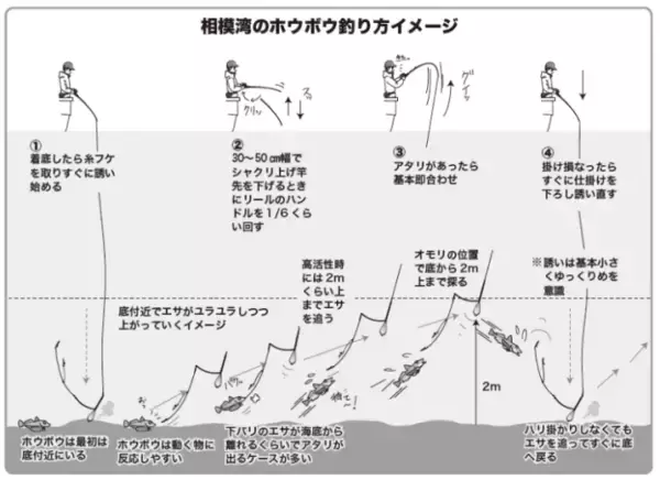 「平塚のご当地ターゲット、ホウボウエサ、ルアーともに今期も順調」の画像