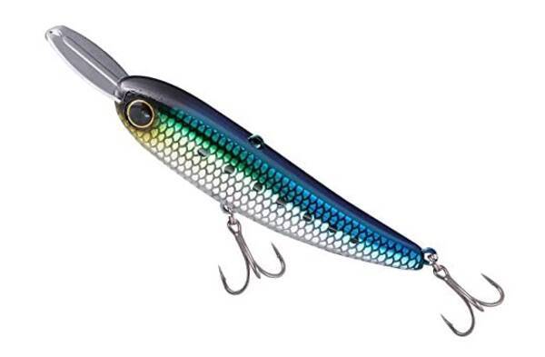 ベイトって何のこと 知っているつもりでよく分からない釣り用語を解説 22年4月5日 エキサイトニュース