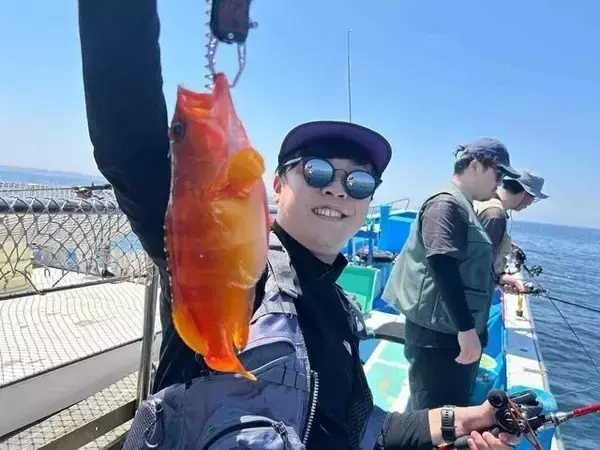 「【釣果速報】神奈川県佐島海楽園でカサゴ上がる！アカハタ・オオモンハタ・メバルなどゲストも多種多様！充実の釣行をお約束します！」の画像