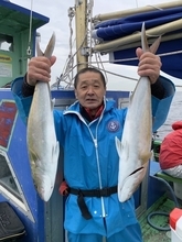 【釣果速報】神奈川県愛正丸の釣行でカンパチ・ワラサ・ヒラメなど人気魚種集結！カンパチは反応山盛りで爆釣期待大！
