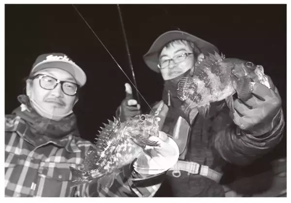ソフトルアーで狙う東京湾木更津沖のメバル