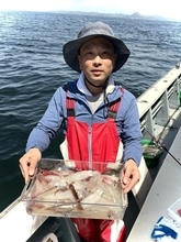 【釣果速報】神奈川県佐円丸でマルイカ釣行が好調！竿頭は42匹ゲット！初夏の絶品マルイカを自分の手で釣り上げてみませんか？