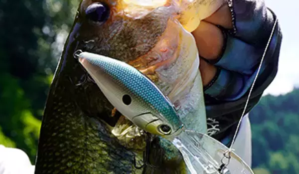 ハードコア バレットクランク5+のインプレ特集！デュエル発ディープクランクベイト