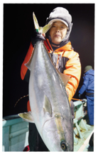 8～10kgオーバーを全員安打年末恒例！新潟ブリ祭り開催中