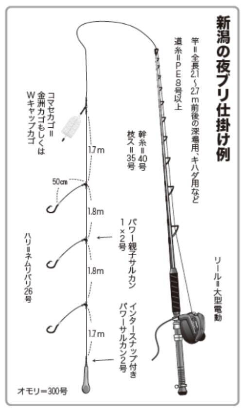 8～10kgオーバーを全員安打年末恒例！新潟ブリ祭り開催中