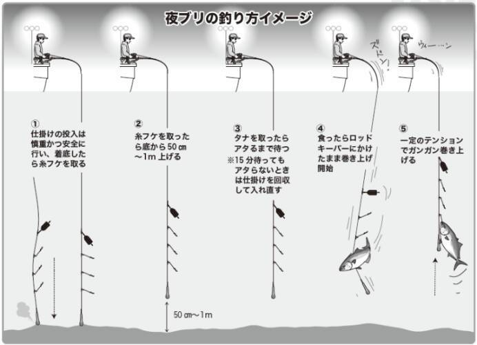 8～10kgオーバーを全員安打年末恒例！新潟ブリ祭り開催中