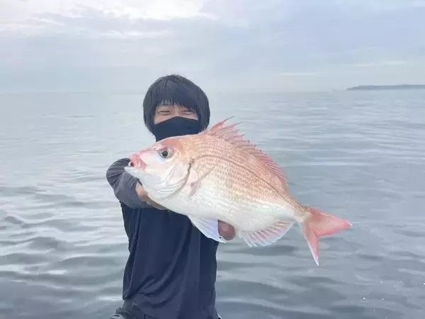 「【釣果速報】神奈川県村本海事でマダイ好調！3.30kgのどっしりサイズ上がる！大鯛の引きを存分に感じられる大満足の釣行に！」の画像