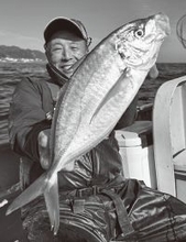 白間津沖のシマアジ　太仕掛けで良型ゲット