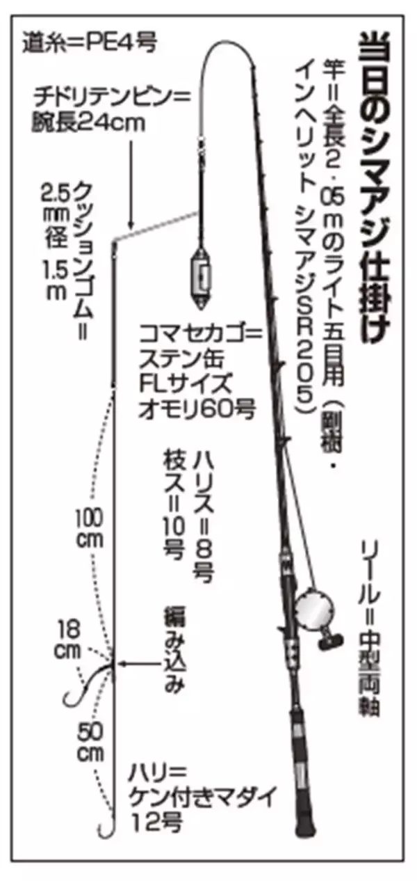 「白間津沖のシマアジ　太仕掛けで良型ゲット」の画像
