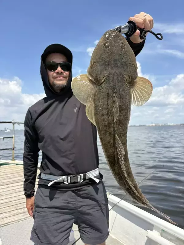 【釣果速報】千葉県林遊船でクロダイ・マゴチ・シロギスと人気魚種続々ゲット！いろいろな魚との出会いを楽しみたい人は即予約を！
