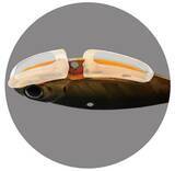 「フルーミーが2022年ボトムアップから新登場！シミーフォールで誘えるメタルバイブ」の画像1