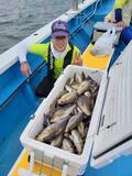 「【釣果速報】良型イサキでクーラーボックスがパンパン！神奈川県成銀丸で量・型ともに大満足の釣行に出かけよう！」の画像3