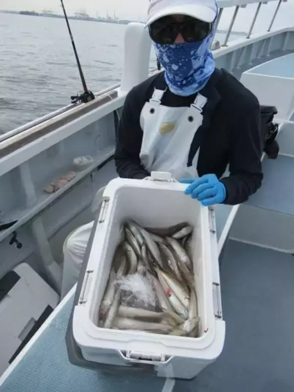 【釣果速報】神奈川県長崎屋でシロギス全員ゲットで絶好調！トップ162匹でお土産ばっちり！釣れてる今、行くしかないっしょ！