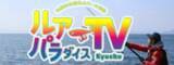 「【九州版】地上波釣り番組全紹介（12月19日～25日）「ソルトフィッシングパラダイスTV」では、低活性のアジを攻略！オカッパリのライトゲーム！」の画像3