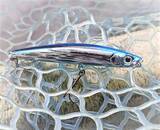 「秋のベイトフィッシュパターン攻略！バスを効率よく釣る方法」の画像6