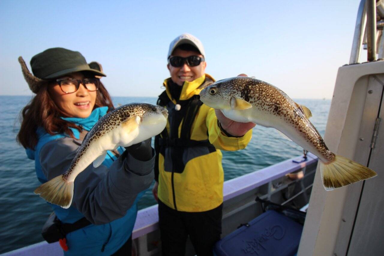 人気急上昇の「カットウ釣り」。名手が教える淡路島フグ釣りの神髄