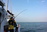 「人気急上昇の「カットウ釣り」。名手が教える淡路島フグ釣りの神髄」の画像8