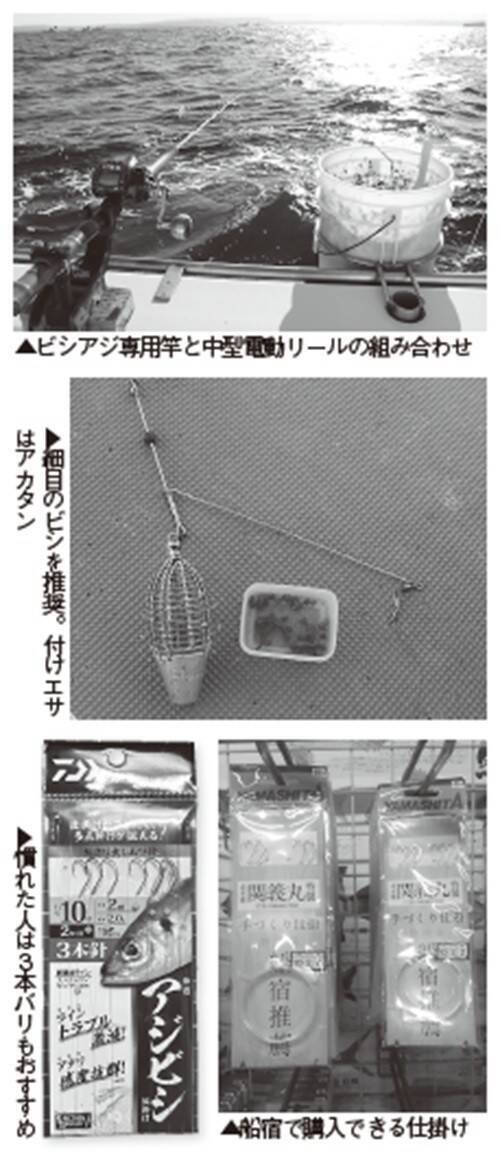 水温低下も安定釣果が続く　ビシアジ釣りの基本で攻略！