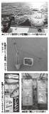 「水温低下も安定釣果が続く　ビシアジ釣りの基本で攻略！」の画像5