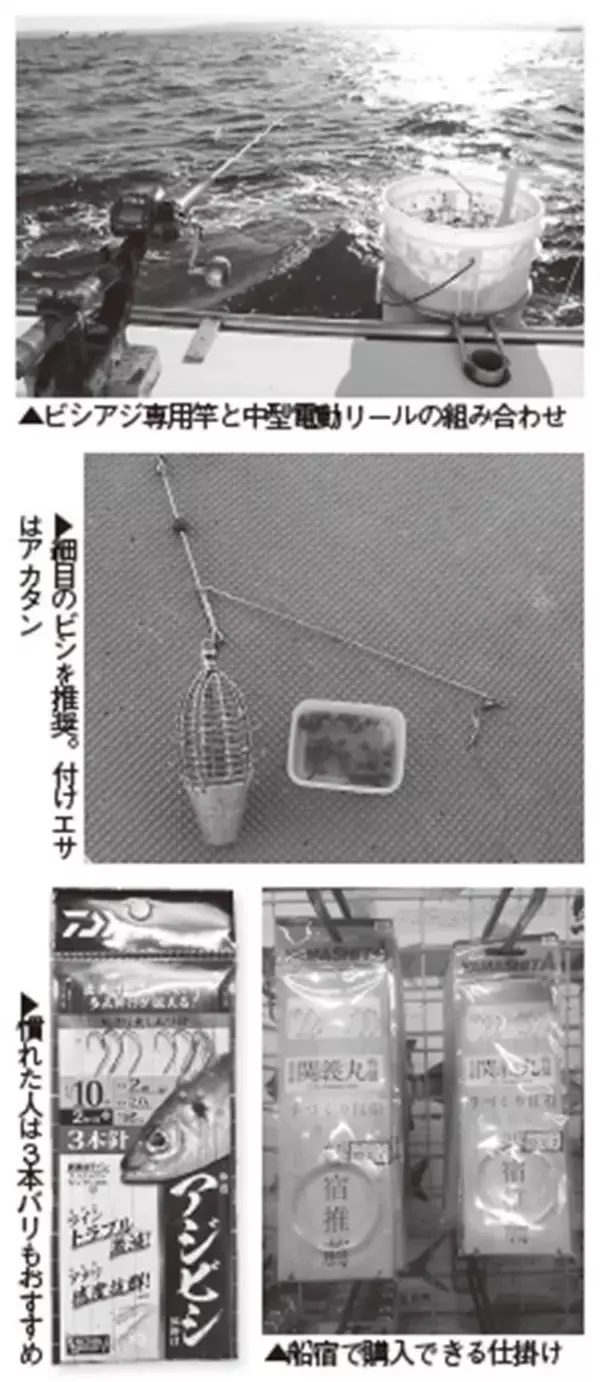 「水温低下も安定釣果が続く　ビシアジ釣りの基本で攻略！」の画像