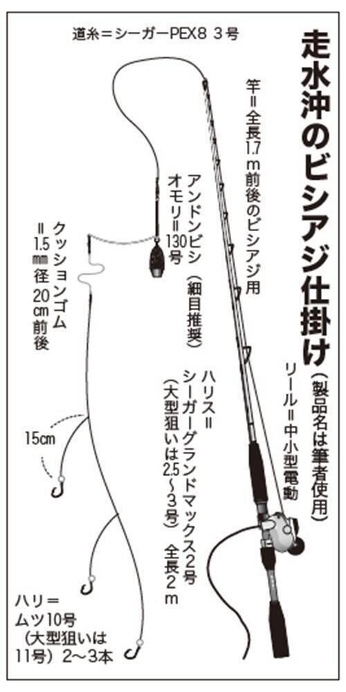 水温低下も安定釣果が続く　ビシアジ釣りの基本で攻略！