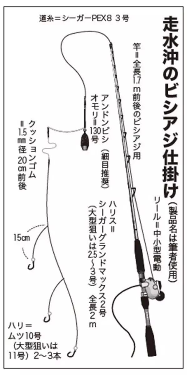「水温低下も安定釣果が続く　ビシアジ釣りの基本で攻略！」の画像