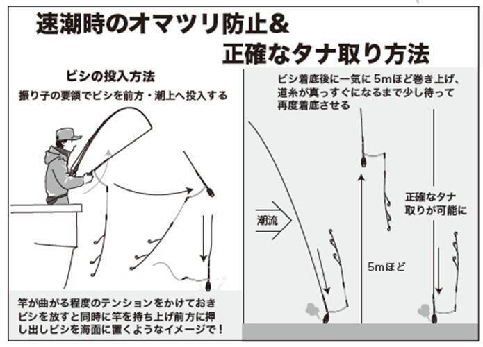 水温低下も安定釣果が続く　ビシアジ釣りの基本で攻略！