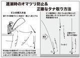 「水温低下も安定釣果が続く　ビシアジ釣りの基本で攻略！」の画像7