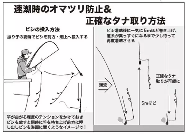 「水温低下も安定釣果が続く　ビシアジ釣りの基本で攻略！」の画像