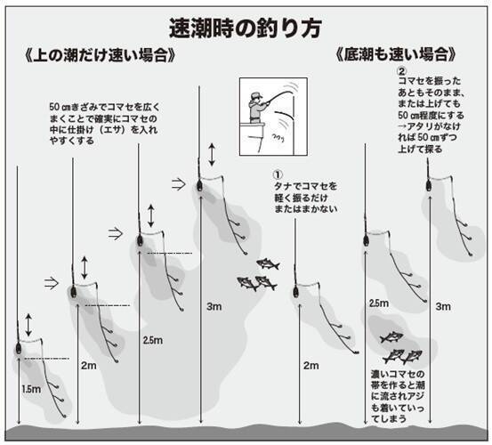 水温低下も安定釣果が続く　ビシアジ釣りの基本で攻略！