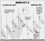 「水温低下も安定釣果が続く　ビシアジ釣りの基本で攻略！」の画像8