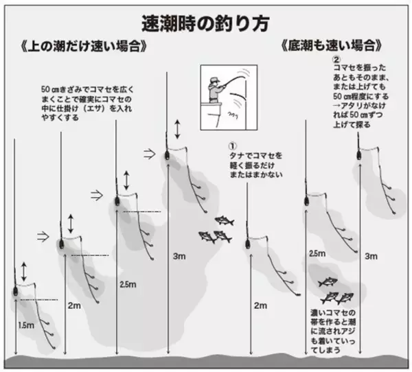 「水温低下も安定釣果が続く　ビシアジ釣りの基本で攻略！」の画像